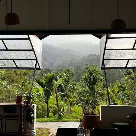 Bendheka - Cliff Front Cottages Coorg Gonikoppal Buitenkant foto